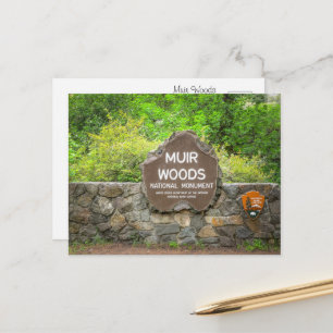 Muir Woods National Monument – Kalifornisk sekvoja Vykort
