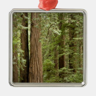 Muir Woods National Monument, norra Julgransprydnad Metall