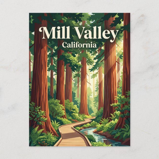 Muir Woods National Monument USA Vykort (Framsida)