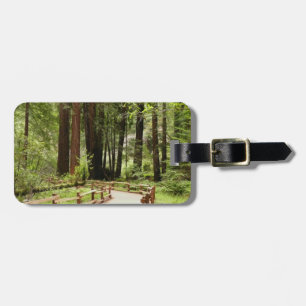Muir Woods Path I Naturfotografering Bagagebricka