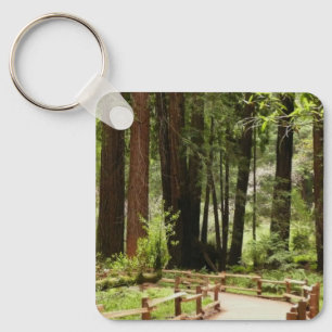 Muir Woods Path I Naturfotografering Nyckelring