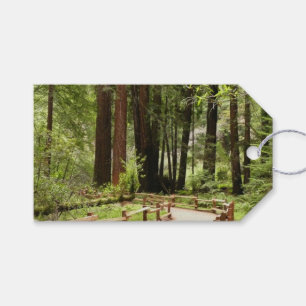 Muir Woods Path I Naturfotografering Presentetikett