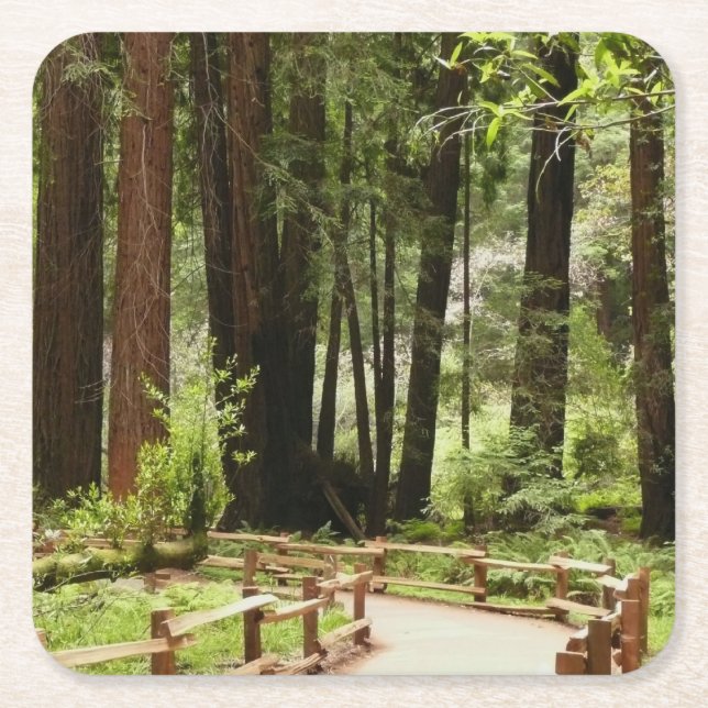 Muir Woods Path I Naturfotografering Underlägg Papper Kvadrat (Framsidan)