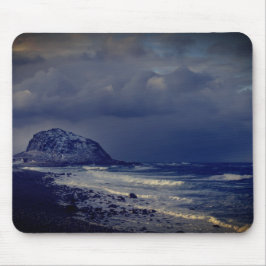 Muismat Vesteralen Lofoten artic ocean Musmatta
