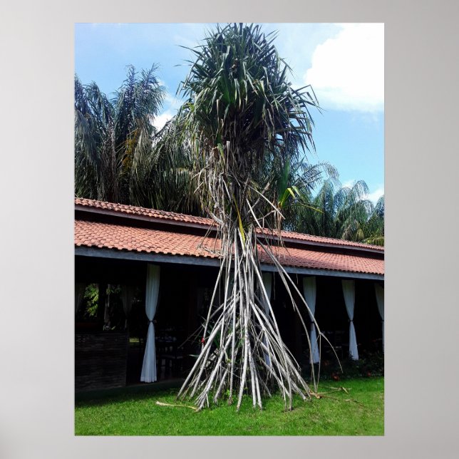 muitas pernas poster (Framsidan)