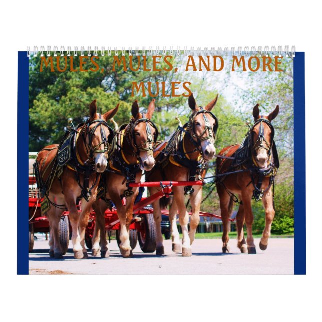 MUL, MULES, MULES, MULES KALENDER (Omslag)