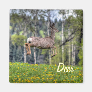 Mul- och klövdjursdesign i Hjort och Fält Magnet