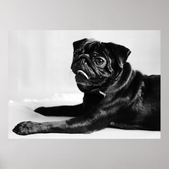 MUL POSTER (Framsidan)