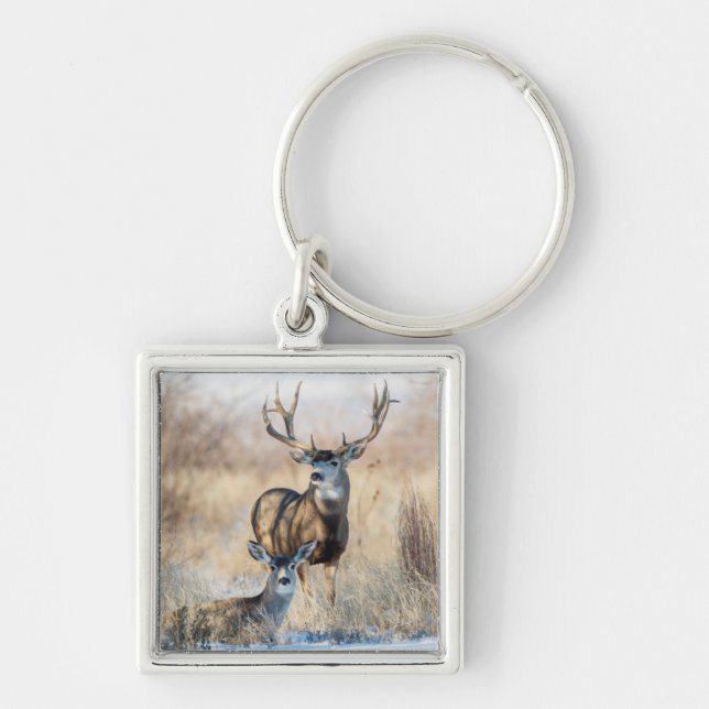 Mula hjort Bock och Doe Fyrkantig Silverfärgad Nyckelring (Framsidan)