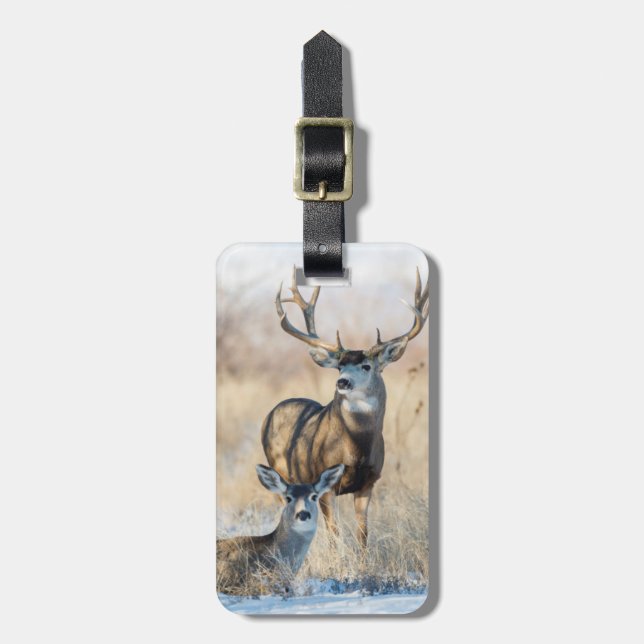 Mula hjortbuck och dota bagagebricka (Vertikal Framsida)