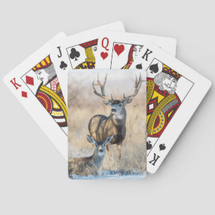 Mula hjortbuck och dota spel kort