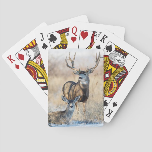 Mula hjortbuck och dota spel kort (Baksidan)
