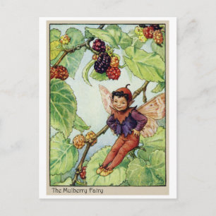 Mulberry Fairy Vykort