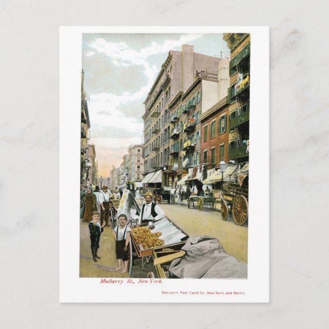 Mulberry St., New York City Vykort (Framsida)