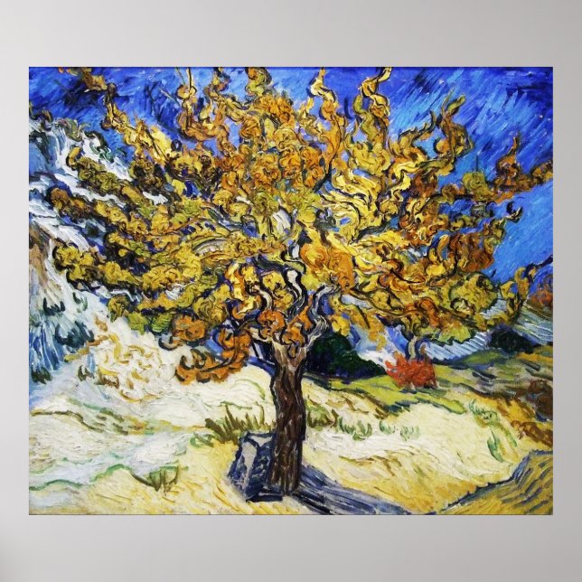 Mulberry Träd Poster (Framsidan)