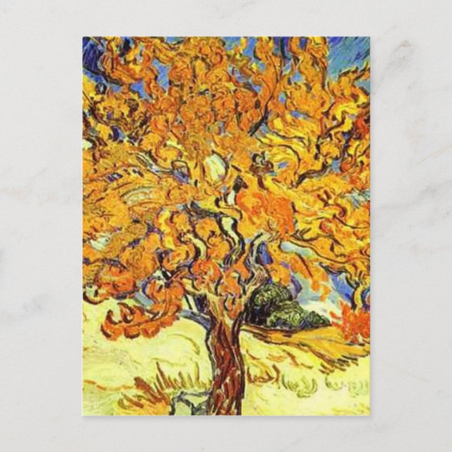 Mulberry Träd, Vincent Van Gogh Vykort (Framsida)