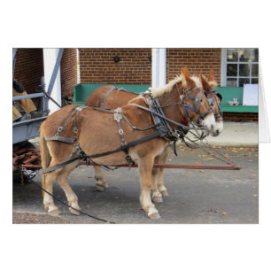 Mule Cart Hälsningskort