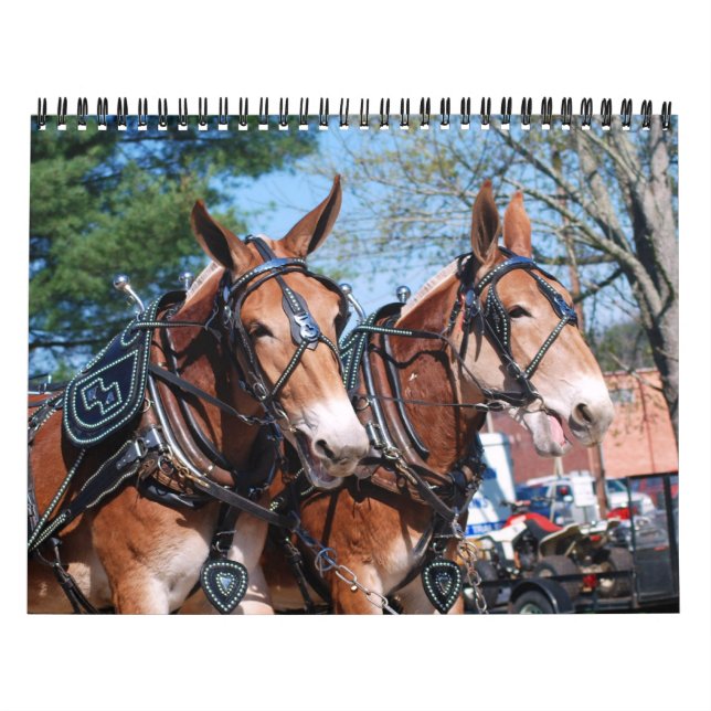 MULE DAYS KALENDER (Omslag)