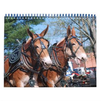 MULE DAYS KALENDER