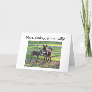 MULE,DONKEY,JENNIE-LEDSEN OCH BLUE UTAN DIG KORT