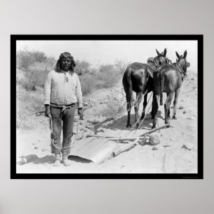 Mule-dragen plog och indier 1920 poster