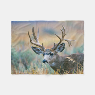 Mule Hjort Buck Grand Teton nationalpark Wyoming Fleecefilt