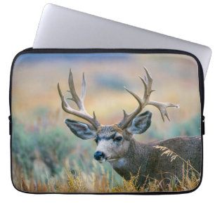 Mule Hjort Buck Grand Teton nationalpark Wyoming Laptop Fodral