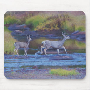 Mule Hjort Doe and Fawn Musmatta