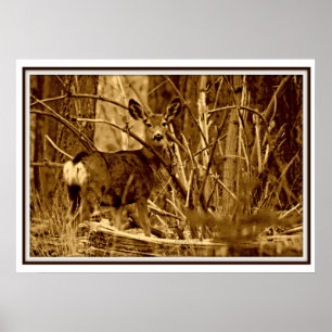 Mule Hjort: Doe Poster
