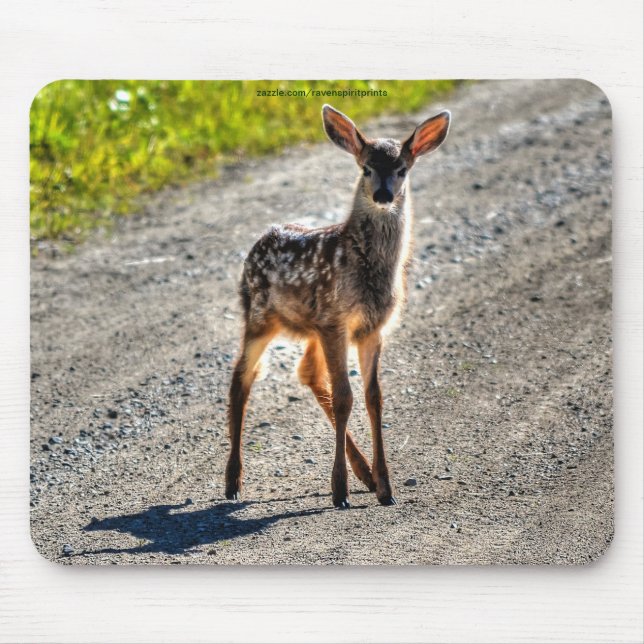 Mule Hjort Fawn Baby djur Wildlife Photo Musmatta (Framsidan)