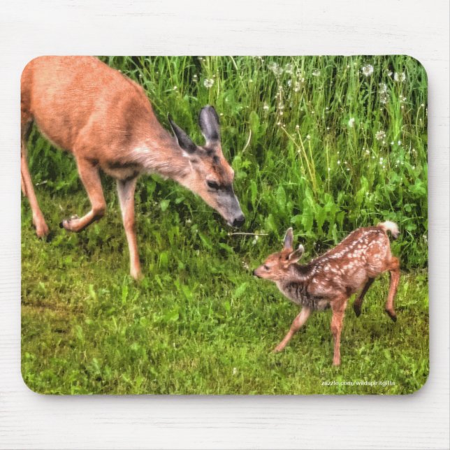 Mule Hjort Fawn & Mor Wildlife Photo Musmatta (Framsidan)