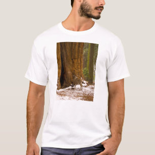 Mule Hjort T Shirt