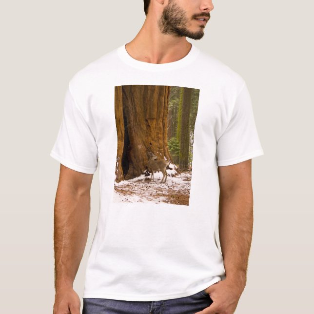 Mule Hjort T Shirt (Framsida)