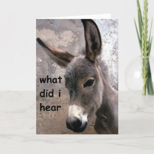 MULE-ISH 30års födelsedag HUMOR Kort