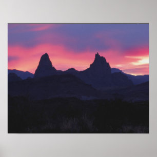 Mule Öron - Big Bend, Texas Poster