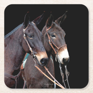 Mule Twosome Underlägg Papper Kvadrat