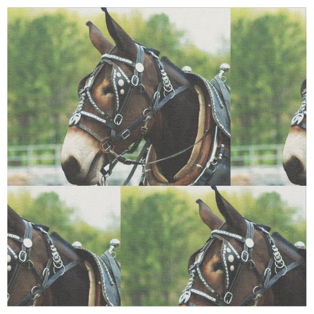 muledag tyg (Närbild)