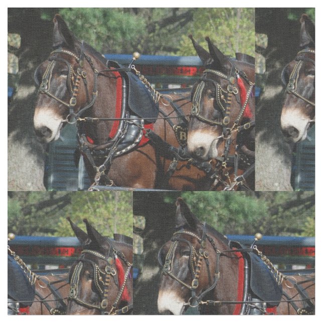 muledagar tyg (Närbild)