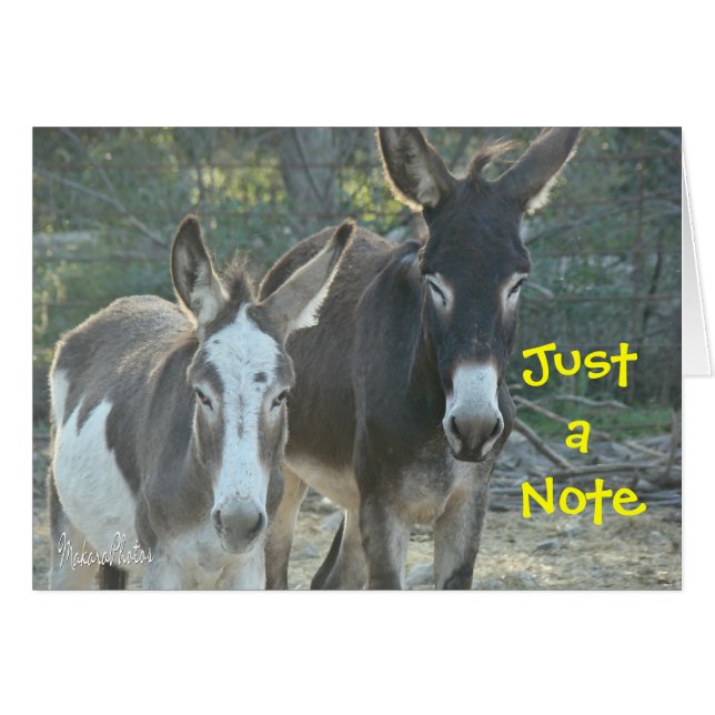 Mules förbigår kortet hälsningskort (Framsidan Horizontal)