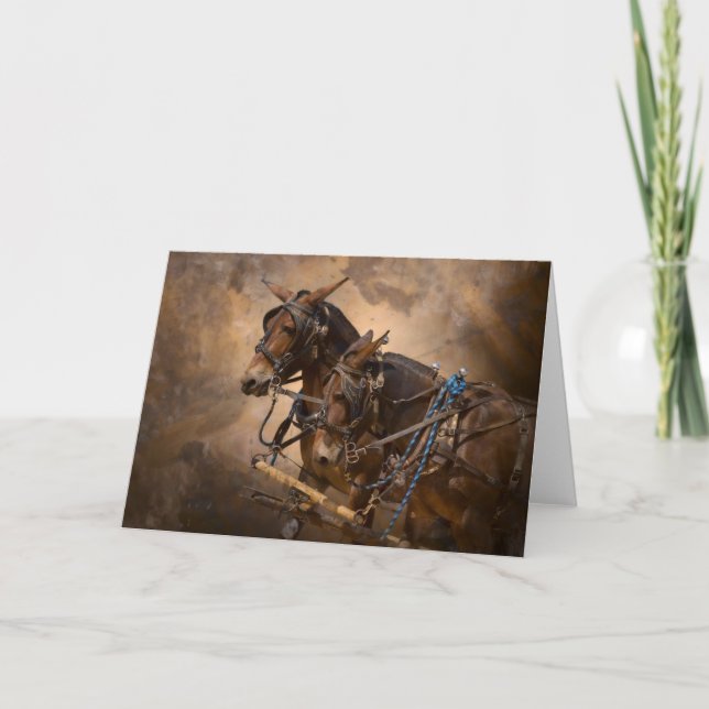 Mules i sele kort (Framsida)