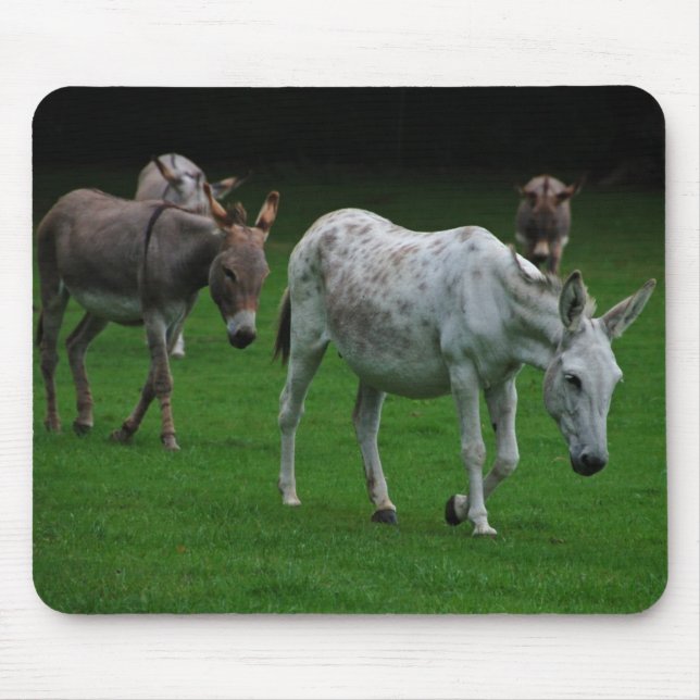 Mules och åsnor Mousepad Musmatta (Framsidan)
