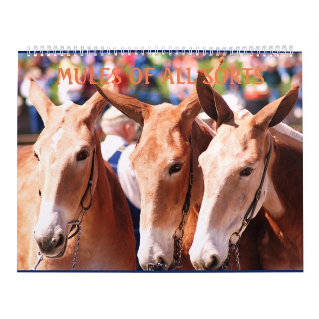 MULESMULESMULES KALENDER (Omslag)