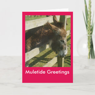 Muletide hälsningar helgkort