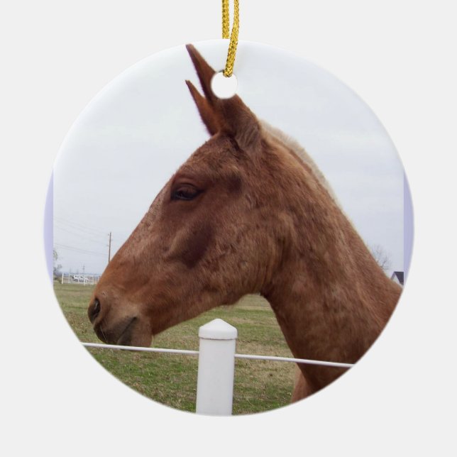 MuleTideprydnad Julgransprydnad Keramik (Framsidan)