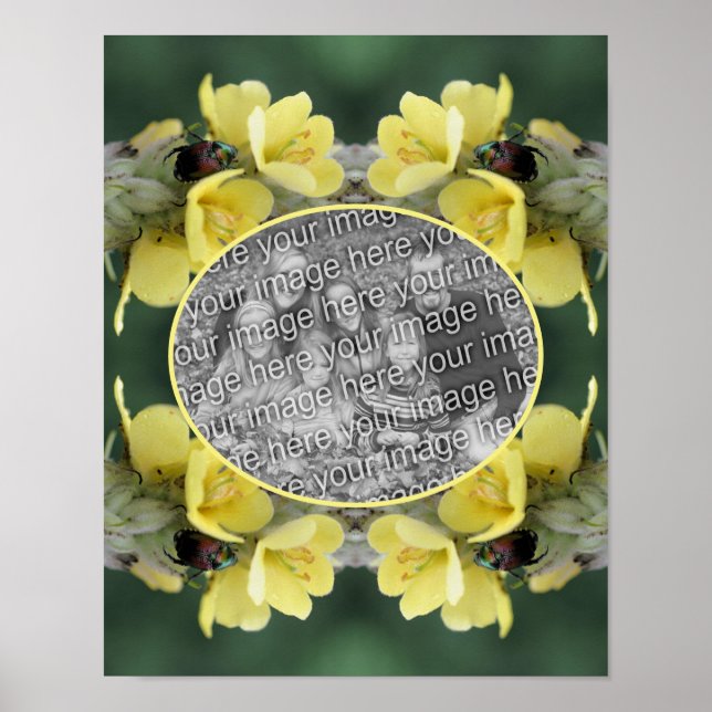 Mullein-blomman på Vilden lägger till ditt foto Poster (Framsidan)