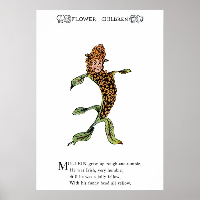 Mullein Poster (Framsidan)