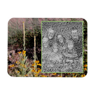 Mulleins Black Eyed Susan Flowers lägger till foto Magnet