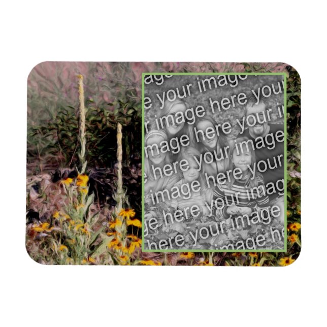 Mulleins Black Eyed Susan Flowers lägger till foto Magnet (Horisontell)