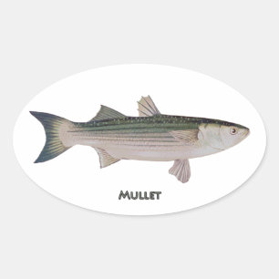 Mullet Fish Ovalt Klistermärke