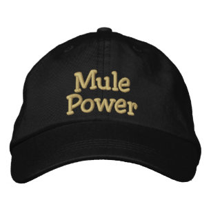 Mullkraft Broderad Keps